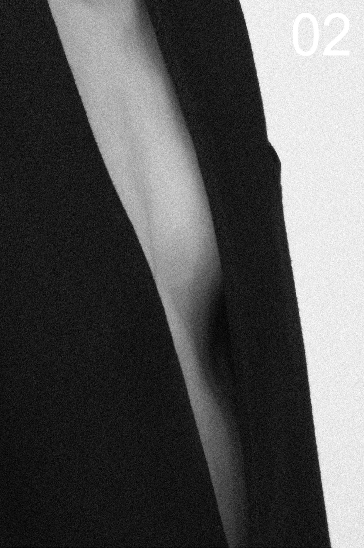 セーム革とシルバークロス Ⅱ｜Chamois leather or silver cloth